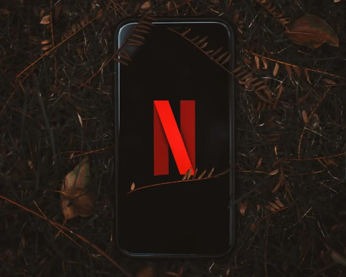 Best Streaming Premieres to Watch This Year
